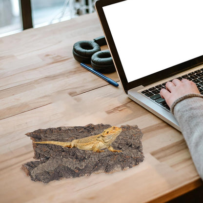 YARNOW 4 Pcs Reptile Bark Cork, Random Shape, 3. 1 to 5. 5 Inch, Wood Bark for Tortoise, Lizard, Gecko, Bearded Dragon, Chameleons