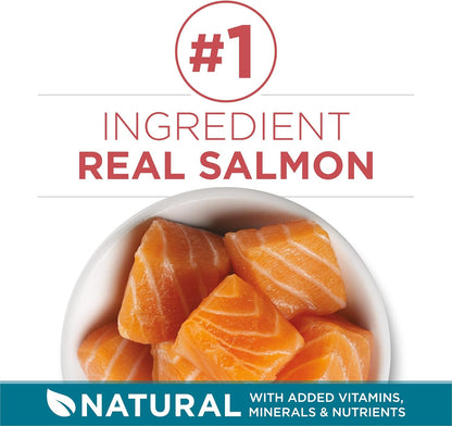 Purina ONE Natural Dry Cat Food, Tender Selects Blend With Real Salmon - 16 lb. Bag