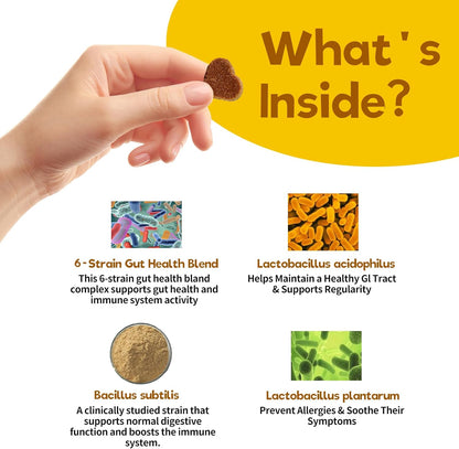 Probiotics for Dogs – Digestive Enzymes, Gut Health & Immune Support – Helps with Diarrhea, Upset Stomach, Seasonal Allergies & Itchy Skin – Vet Approved Pumpkin Flavor Soft Chews, 90 Count