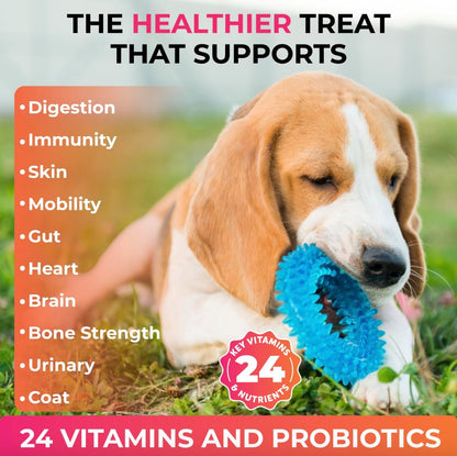 Caspi 10-in-1 Dog Multivitamin with Probiotics – Joint Health, Itching & Skin Relief, Omega-3 Salmon Oil, Glucosamine, Vitamins & Minerals – Daily Chew Supplement for Dogs – 160 Soft Chews