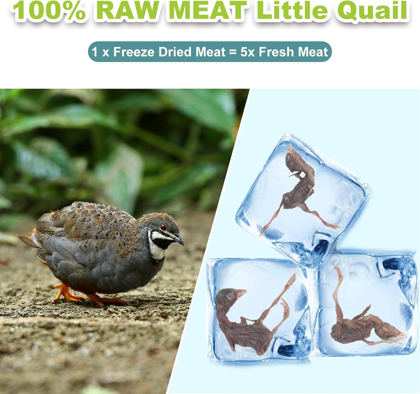 Freeze-Dried Quail Cats & Dogs Treats - Single Ingredient Pet Snacks, High-Protein Training Rewards, Grain-Free, Easy Digestion (3oz)