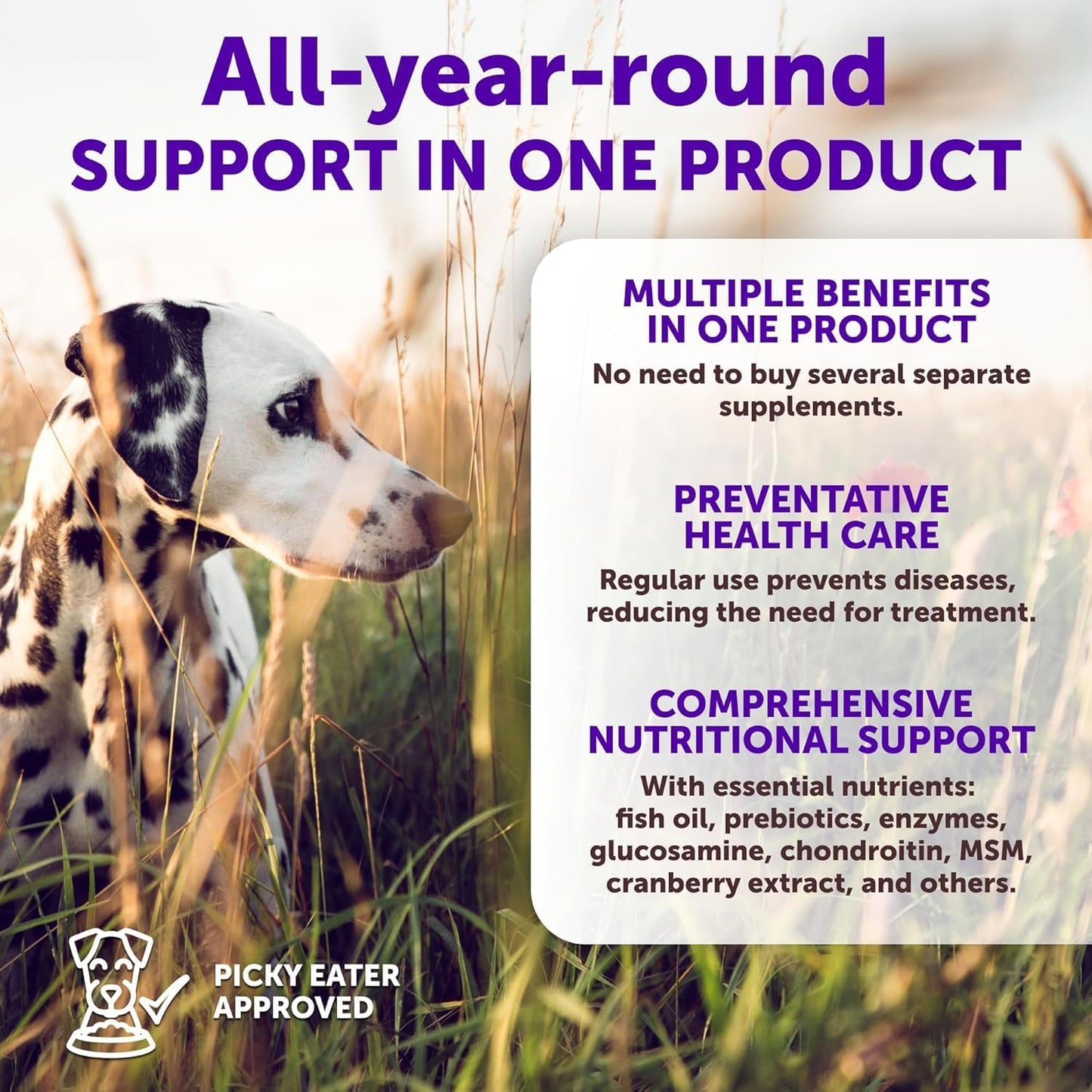 20 in 1 Dog Multivitamin + Glucosamine Chews Bundle - Chewable Vitamins for Hip & Joint Support, Immunity, Mobility, Skin & Digestion - Chondroitin, MSM