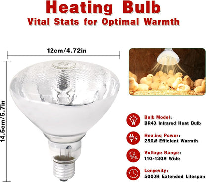 Heat Lamp Bulbs for Chickens Infrared Heat Lamp 250W Incandescent Spotlight for Brooder Coops Pets Chicks Reptiles Food Service (2 Packs)
