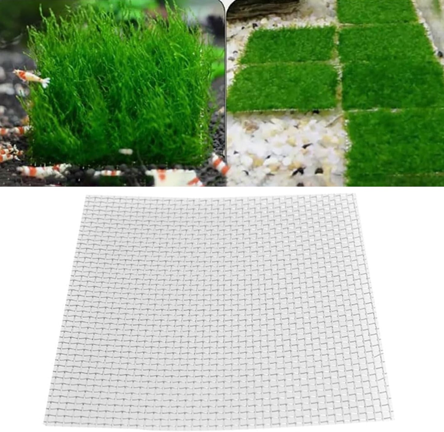 Heyous 6PCS Aquatic Plant Stainless Steel Wire Mesh Pad 10x10cm Aquarium Planting Net for Pump Chambers and Filter Inlets