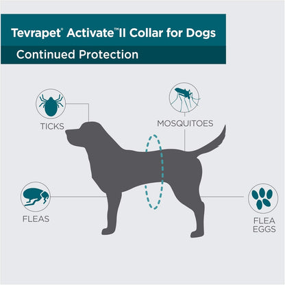 TevraPet Activate II Flea and Tick Collar for Dogs, 12 Months Prevention, 2 Count, for Medium and Large Dogs