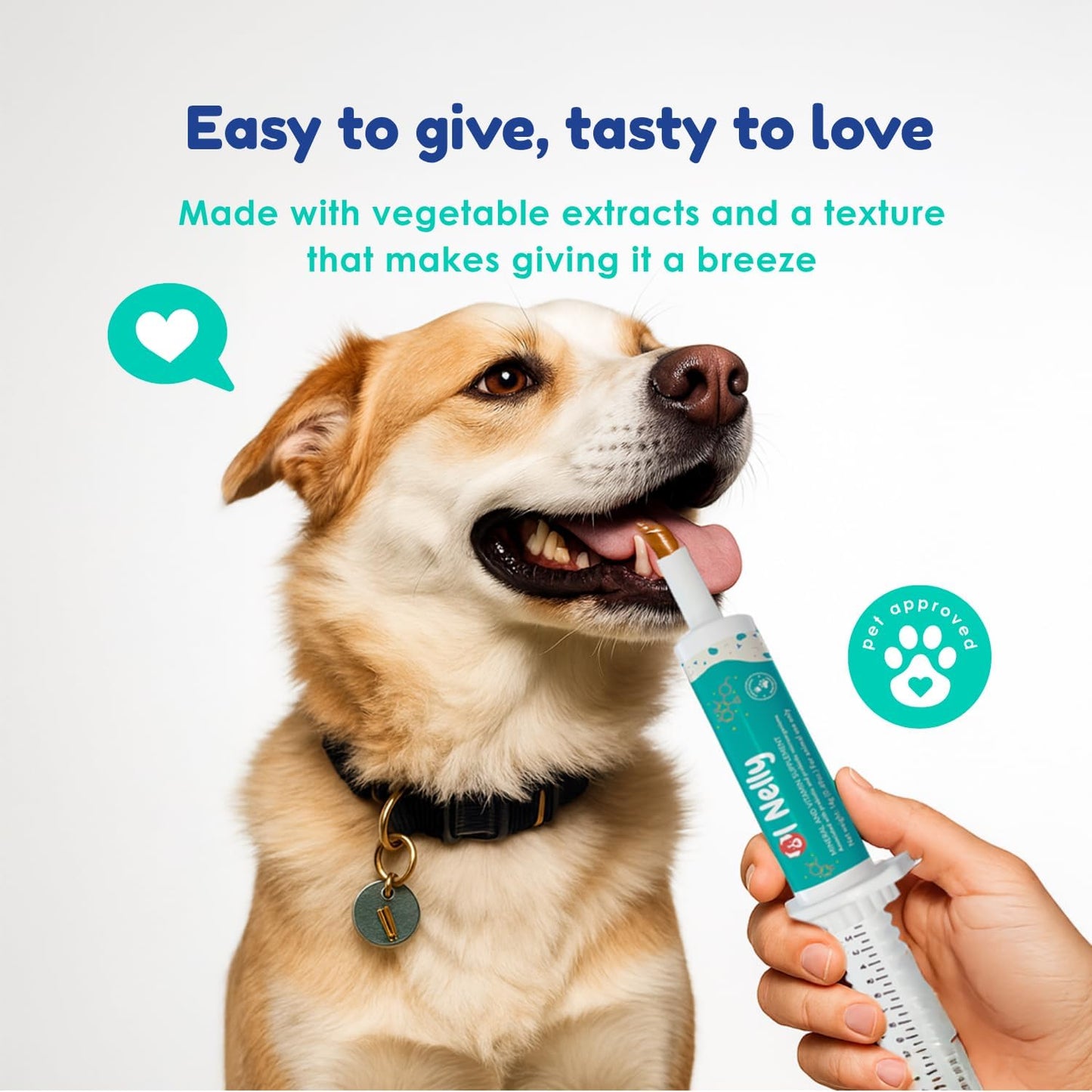 Prebiotic & Probiotic Dog Probiotic Paste, 6 Strains of Bacteria,18 Bi CFU's + Vitamins, Minerals- Upgraded Formula for Fast Balance GI, Dogs Probiotic Paste (14 g)