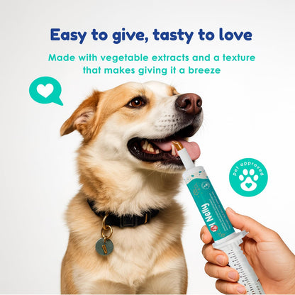 Prebiotic & Probiotic Dog Probiotic Paste, 6 Strains of Bacteria,18 Bi CFU's + Vitamins, Minerals- Upgraded Formula for Fast Balance GI, Dogs Probiotic Paste (14 g)