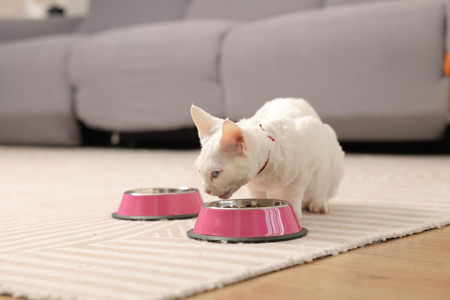 Stainless Steel Dog Bowls, Food and Water Non Slip Anti Skid Stackable Pet Puppy Dishes for Small, Medium and Large Dogs (2 Pack)