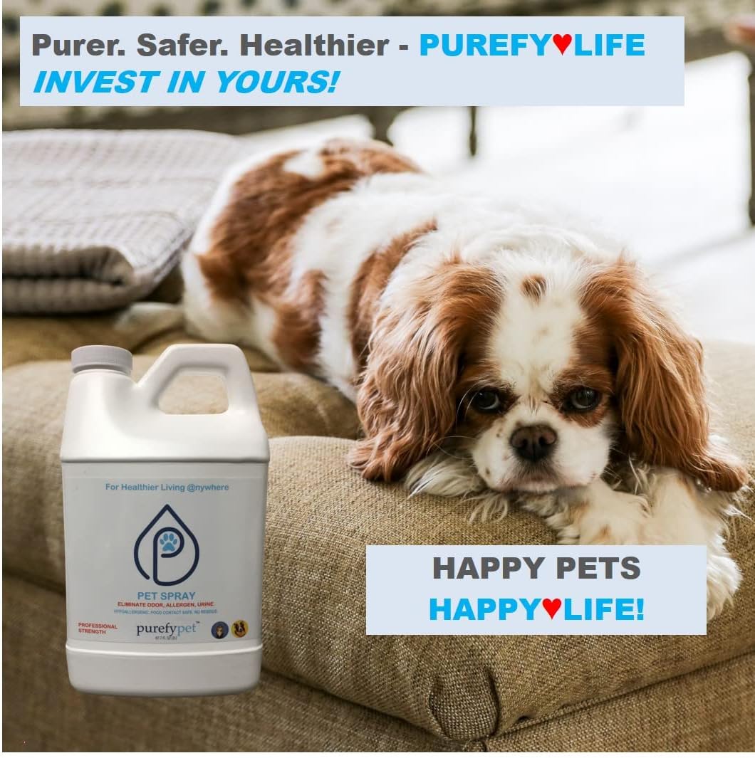 PUREFY Pet Spray (68oz) Eliminate pet matters and pet urine from the environment. Pet Odor Eliminator. Unscented. No residue. (68oz)