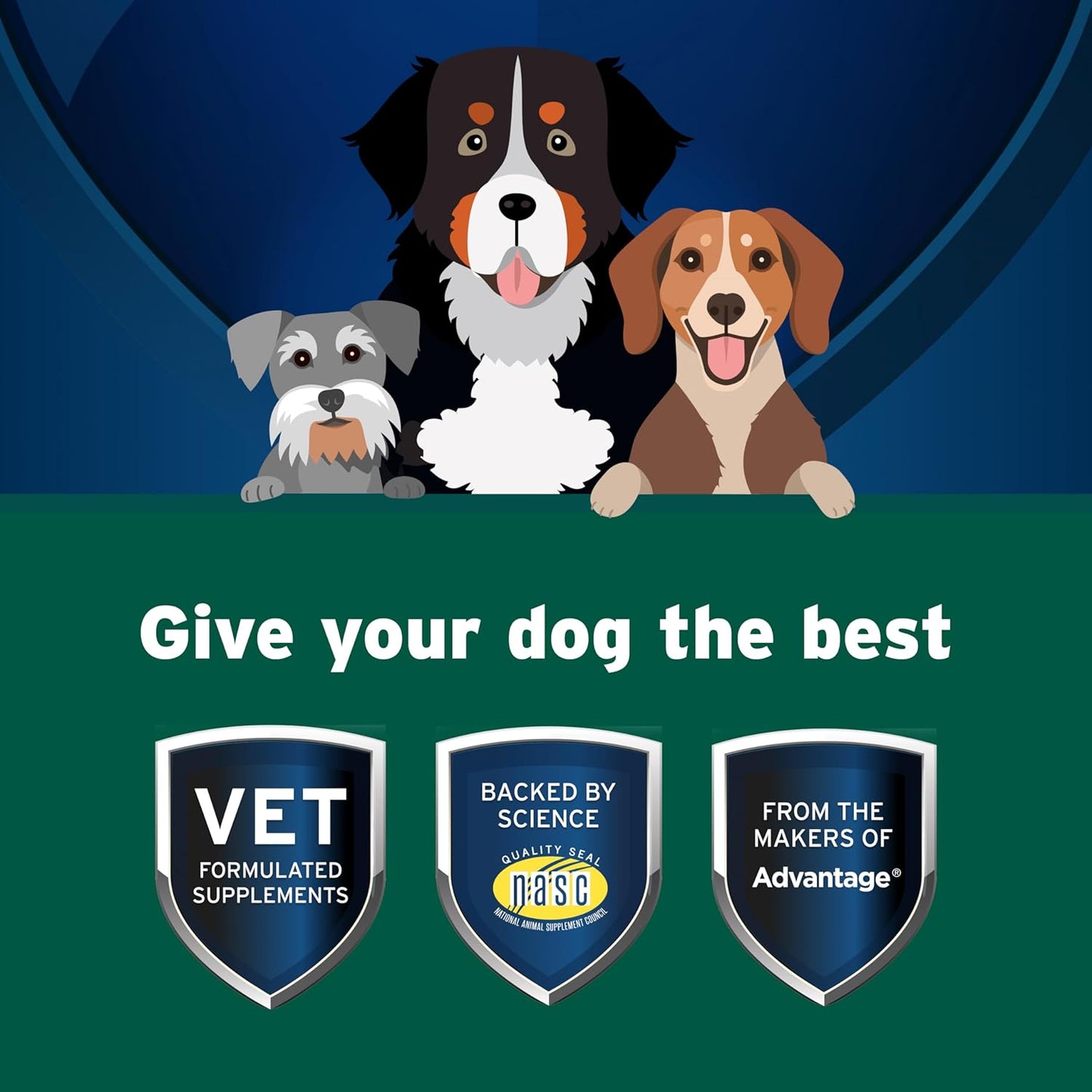 Pet Protect Dog Probiotic Balance+ Oral Gel, Vet-Formulated Endurosyn, Prebiotics & Probiotics for Dogs, 3-Day Supply, Chicken Flavor (32g)