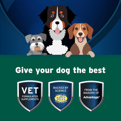 Pet Protect Dog Probiotic Balance+ Oral Gel, Vet-Formulated Endurosyn, Prebiotics & Probiotics for Dogs, 3-Day Supply, Chicken Flavor (32g)