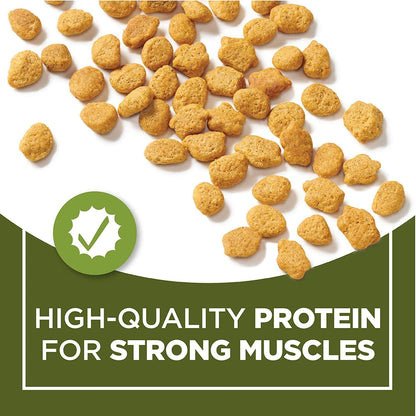 Purina Cat Chow Naturals Dry Cat Food, Indoor With Real Chicken & Turkey, 3.15 Lb Bag