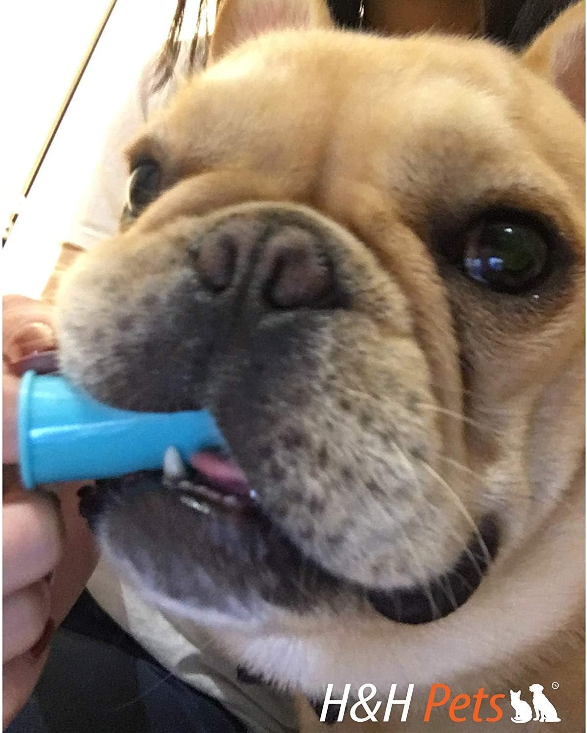 H&H Pets Dog Finger Toothbrushes - Professional Pet Finger Dental Brush Set for Dogs Puppies Cats, Soft Bristles, Size Large 8 Count