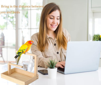 Large Macaw Perch Stand for Desk, Bird Desktop Stand Platform, Natural Wood Parrot Playground Play Stand Training, Parakeet Enrichment Gym for Budgie Cockatiel Conure Lovebird