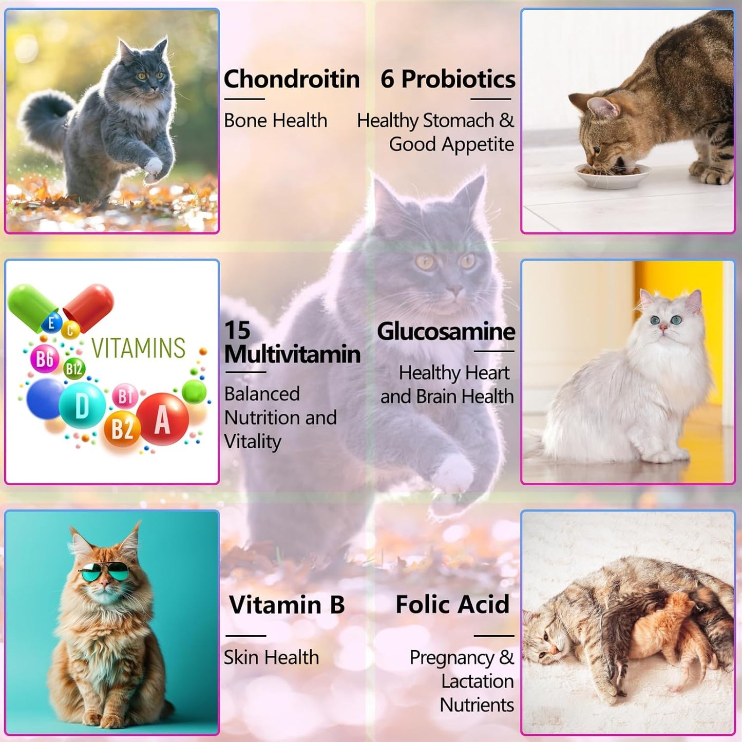 Cat Multivitamin,15 in 1 Cat Vitamins Liquid Drops Supplements for Heart Health, Bones, Joint, Skin & Coat, Bladder, Immune System Support 60ml