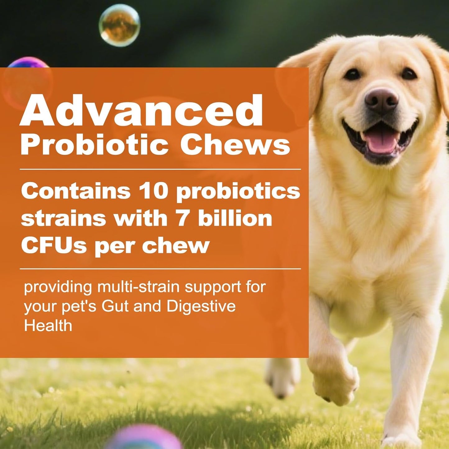 Probiotics for Dogs, Dog Probiotics for Digestive Health and Itchy Skin with 7 Enzymes & 2 Prebiotics. Pet Probiotics lab - Helps Diarrhea, Yeast Infection, Allergies & Immune System -180ct