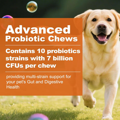 Probiotics for Dogs, Dog Probiotics for Digestive Health and Itchy Skin with 7 Enzymes & 2 Prebiotics. Pet Probiotics lab - Helps Diarrhea, Yeast Infection, Allergies & Immune System -180ct