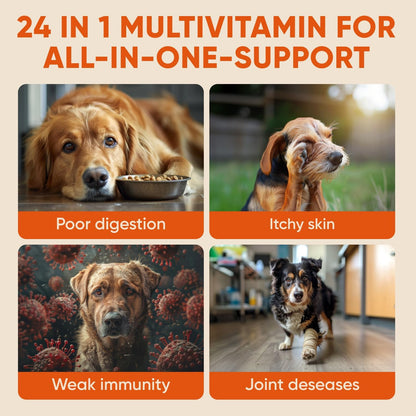 Dog Multivitamin Chews - Glucosamine Chondroitin Vitamin Chewables - 24 in 1 Dog Probiotic Treats for Skin, Joint, Bones, Liver - Immune Support Supplement with Vitamins & Minerals - All Breeds & Ages