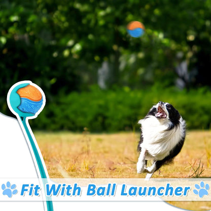 6Pcs Squeaky Dog Balls, Dog Toys Balls for Training, Tough Ball Toys for Dogs, Fit with Dog Ball Launcher, High Bouncy Dog Ball for Interactive Playing, Puppy Pet Chew Balls Teething Balls 2.5in