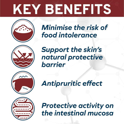 Forza10 - Dog Food, Dermo Dry Food for Itchy Skin, Sensitive Stomach & Coat Health, Limited Ingredient Dog Food, Non-GMO, Fish Flavor, Made in Italy (22 lb)