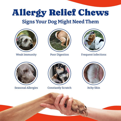 Dog Allergy Relief Chews – 70 Count + 180 Count Bundle for Long-Term Allergy & Immune Support