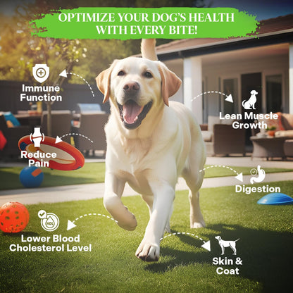 Healthy Dogma Allergy-Sensitive Dog Food & Elk Antler Chew Combo: Dehydrated Chicken Dinner (10 lbs) + Natural, Long-Lasting Elk Antler for Tough Chewers (8+ Inches)