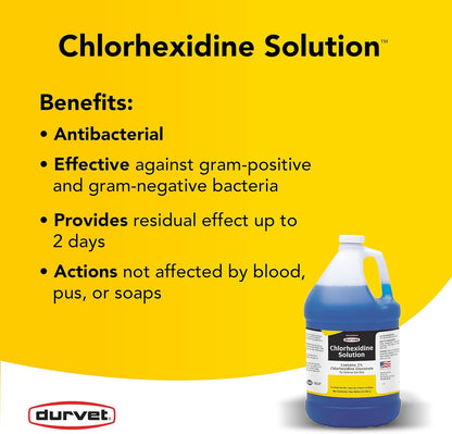 Chlorhexidine 2% for Horses & Dogs, One Gallon