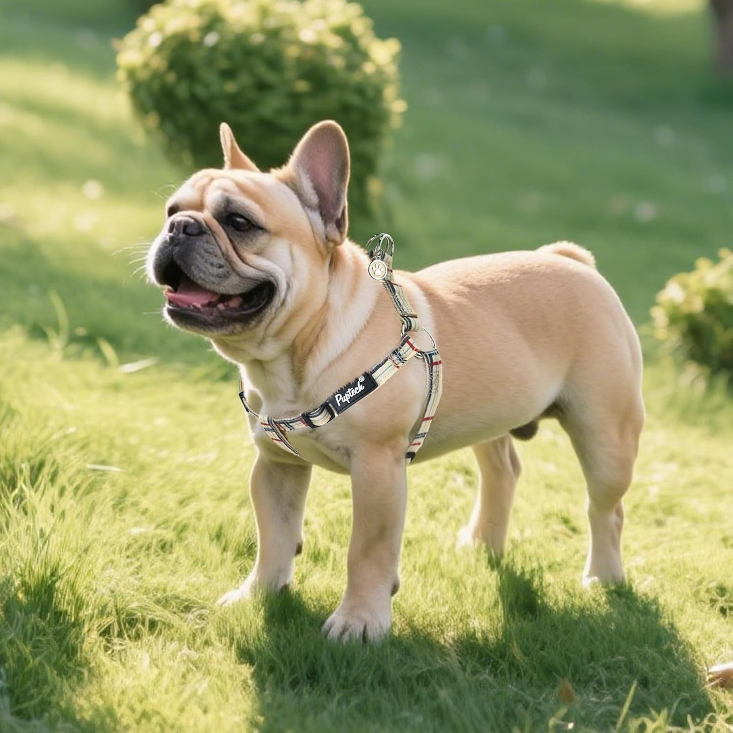 PUPTECK No Pull Dog Harness Soft Adjustable Basic Nylon Step in Puppy Vest Outdoor Walking with ID Tag, Plaid Beige, XS