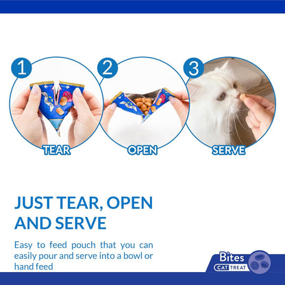 INABA Churu Fun Bites for Cats, Soft & Chewy Cat Treats with Taurine, 0.42 Ounces Each Tetra, 18 Tetras (3 per Bag), Chicken with Pumpkin Recipe