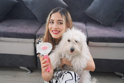 Essential Pet Supplies: Pet Collar for Small Dogs with Reflective AirTag Holder and Secure,Comfortable Padding Bundled with Safe Dog Nail Clippers and Self-Cleaning Dog Brush