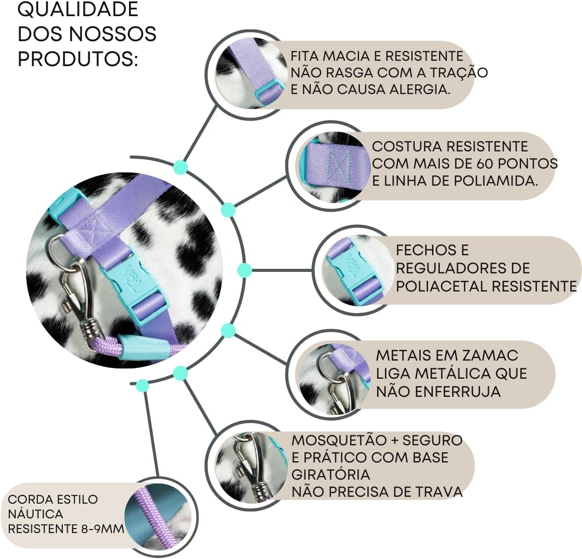 Breakaway Cat Collar – Stylish & Safe Adjustable Kitten Collar Breakaway – Cute Cat Collar for Kittens & Cats – Soft Pet Collar for Girls & Boys – Cat Accessories (Eclipse)