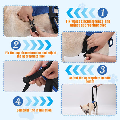 Dog Litf Harness, Dog Sling for Large Dogs Hind Leg Support, Hind Leg Support to Help Rehabilitate, for Elderly, Injured, Arthritic Dogs, L