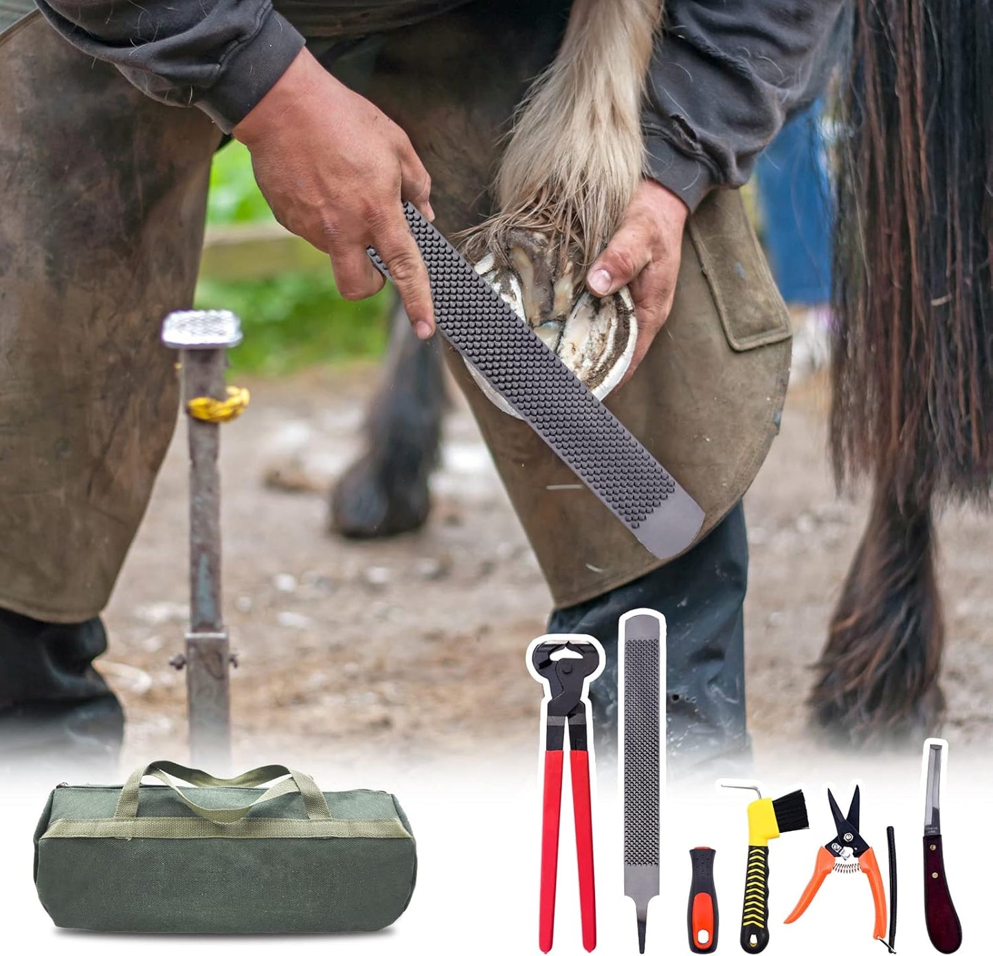 14 inch Horse Farrier Tool Kits - 6Pcs Professional Hoof Trimming Farrier Tools, Can Easily Trim The Hooves of Horses, Cows, Sheep, Donkeys and Other Medium-Sized Animals