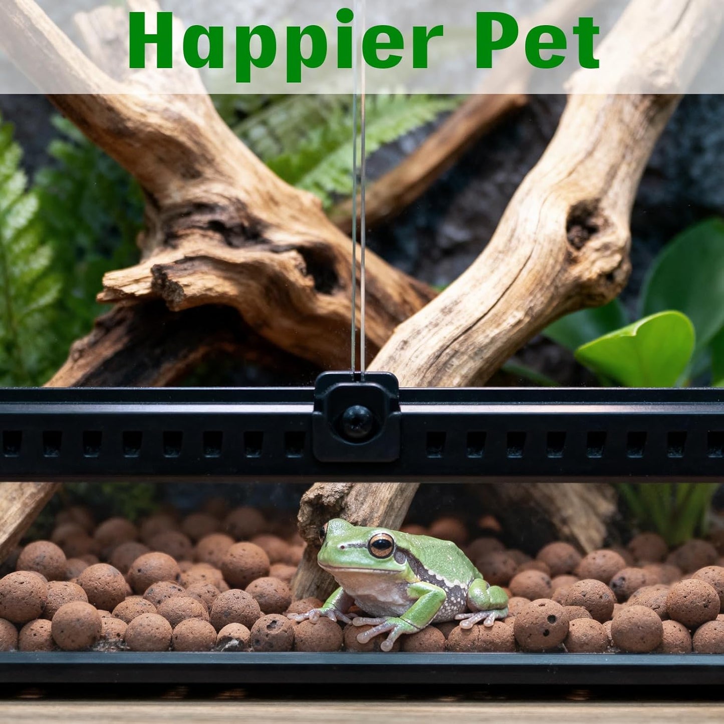 Halatool Reptile Substrate 2QT Clay Pebbles Terrarium Bedding for Reptiles Organic Clay Balls Bioactive Drainage Layer for Terrariums & Vivariums Leopard Gecko Tortoise Frog Lizard Ball Python