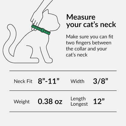 CollarDirect Leather Cat Collar with Bell - Kitten Collar, Small and Big Cat Collar for Boy Cats, Girl Cats with Safety Elastic Strap (Neck Fit 8"-11", Mint Green)