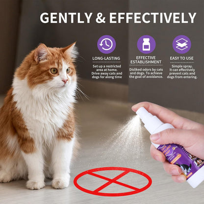 Cat Scratch Deterrent Spray, Cat Repellent Spray Indoor and Outdoor for Cat and Kitten, No Scratch Spray Training Aid for Furniture, Sofas, Curtains - Non-Toxic, Alcohol-Free Formula
