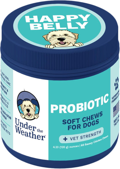 Under the Weather Probiotic Chews for Dogs | Daily Probiotics and Prebiotics for Digestive Health Gut | Balance and Immune Support | Vet Formulated Dog Digestive Supplement | Chicken Flavor | 60 Count