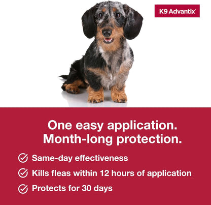 K9 Advantix Flea, Tick & Mosquito Prevention for Dogs 4-10 lbs. | Flea Drops for Small Dogs | Apply Monthly | 4 Treatments (Pack of 2)