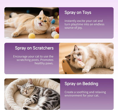 Catnip Spray for Cats, 100% Natural Catnip Mist Spray for Cats & Kittens, Relieves Stress, Calming, Safe for Pets - 2 Fl Oz