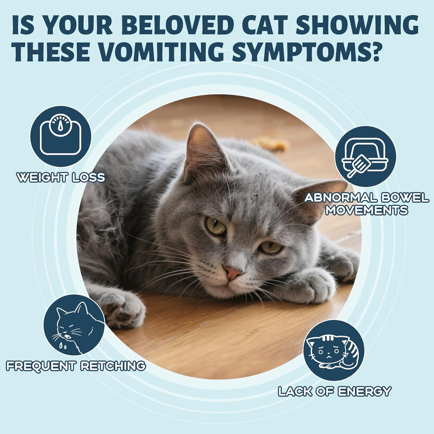 Vomiting Relief for Cats, Cat Vomit Remedy, Probiotic Digestive Support Liquid, Helps Reduce Hairballs, Relieve Sensitive Stomach & Support Gut Health, Gentle Daily Formula - 60mL