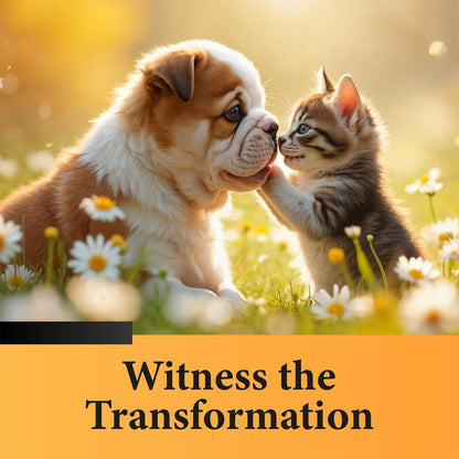 No More Worms in Cats and Dogs- Dewormer for Cats and Dewormer for Dogs - Chicken Flavour 120 MLS with 3ml Dropper