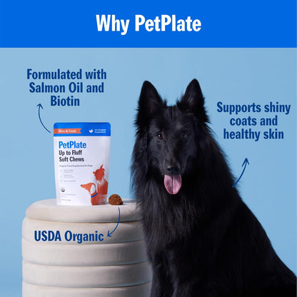 PetPlate Up to Fluff Soft Chews for Dogs, Skin & Coat Support, USDA Organic Supplement, Grain-Free, Human-Grade, Includes Salmon Oil and Biotin, Pet Supplies (Pack of 1, 9.8 Ounce)