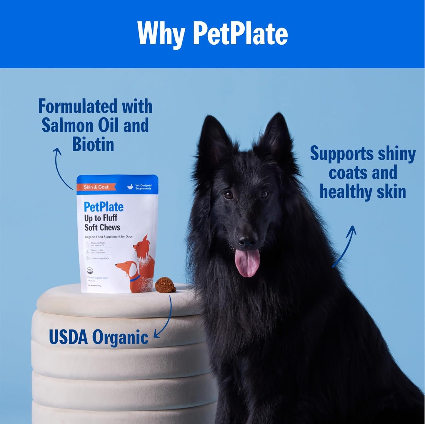 PetPlate Up to Fluff Soft Chews for Dogs, Skin & Coat Support, USDA Organic Supplement, Grain-Free, Human-Grade, Includes Salmon Oil and Biotin, Pet Supplies (Pack of 1, 9.8 Ounce)