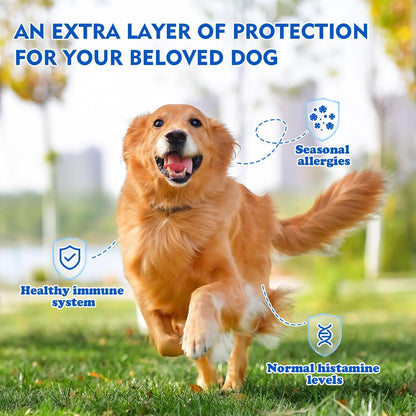 Quercetin + Bromelain for Dogs – Immune & Allergy Support Supplement, Inflammatory Relief, Antioxidant Formula, 120 Beef-Flavored Chewable Tablets