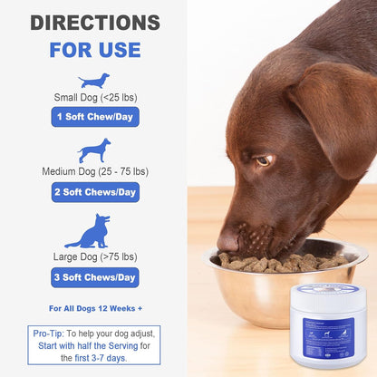 Probiotic Chews for Dogs - Chicken Flavor, 100 Soft Chews, with 6 Billion CFU Probiotics, Enzymes, Organic Pumpkin & Inulin - Digestive & Immune Support for Dogs