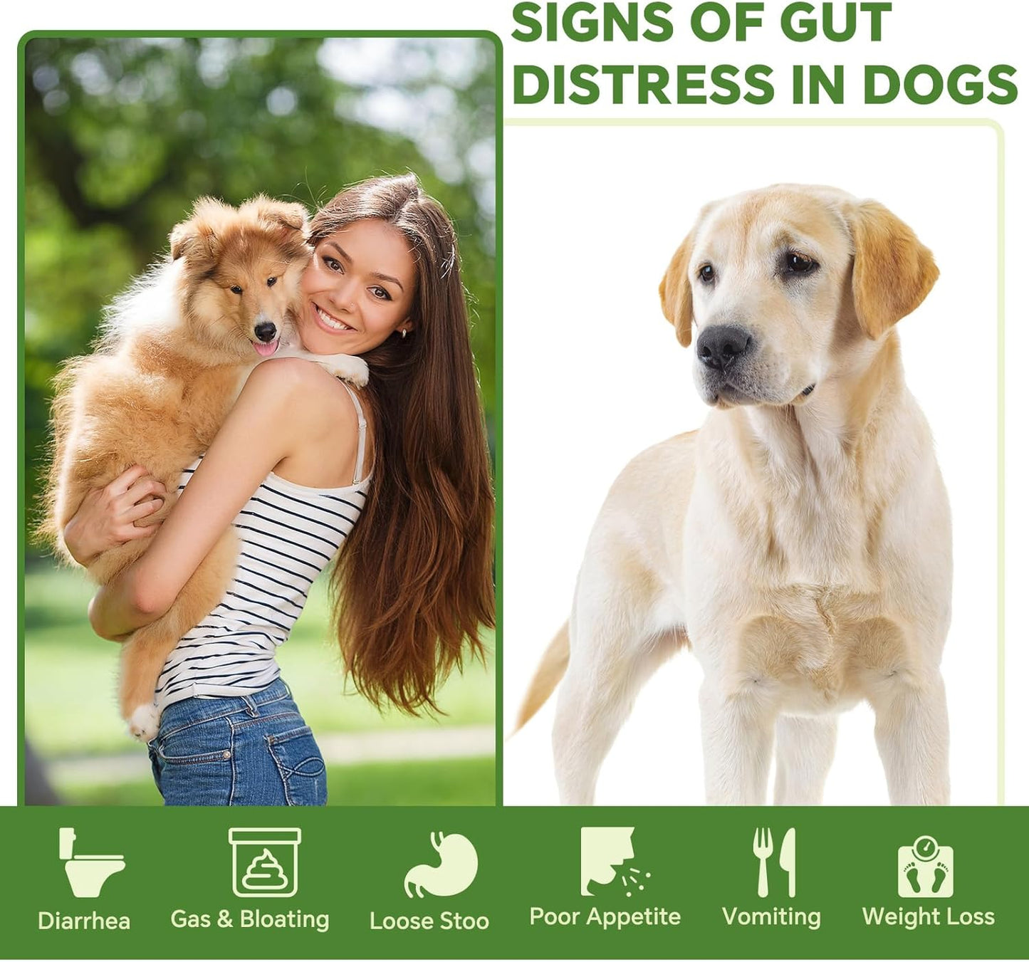 Probiotics for Dogs | Gut Health | Dogs Digestive Support | Dog Constipation Relief | Dog Stomach Upset Medicine | B12 for Dogs Supplement for IBD Support – Digestive Health– Diarrhea & Gas Relief