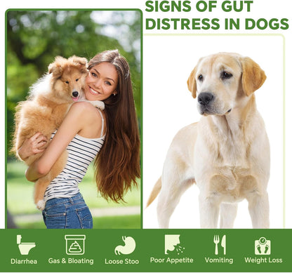 Probiotics for Dogs | Gut Health | Dogs Digestive Support | Dog Constipation Relief | Dog Stomach Upset Medicine | B12 for Dogs Supplement for IBD Support – Digestive Health– Diarrhea & Gas Relief