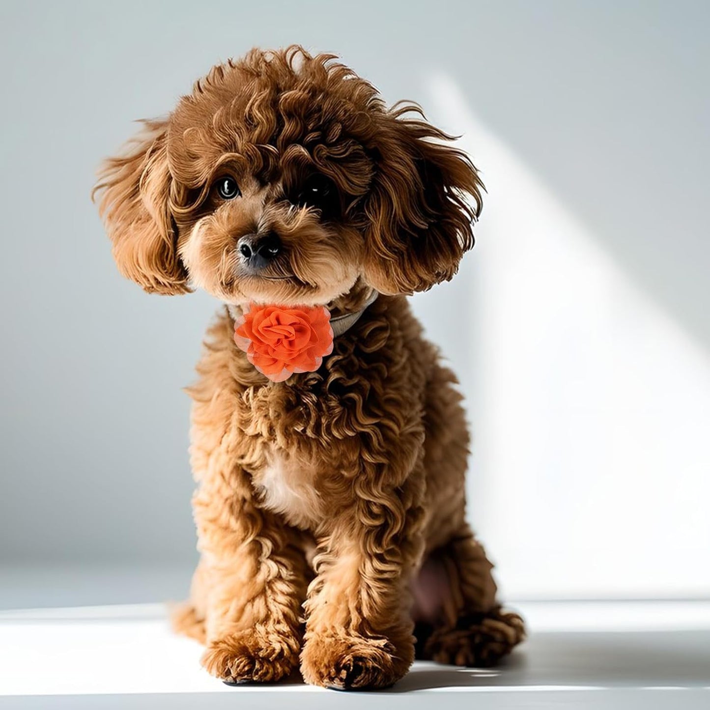 8 Pcs Flower Collar for Dogs 3 inch Colorful Cat Puppy Charms Pet Flower Collars Soft Dog Tie for Dogs Grooming Charms Accessories