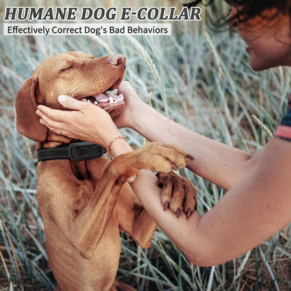 Dog Training Collar with Remote 2000ft, 100% Waterproof Shock Collar for Large Medium Dogs(8-150lbs) with Beep Vibration Shock, Rechargeable Electric Dog Collar with Intensity Dial Knob