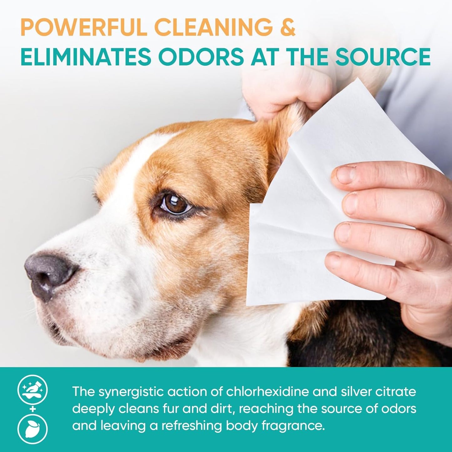 CHMI 800 PCS PET Wipes for Dogs & Cats–Pet Wipes for Paws, Body & Butt